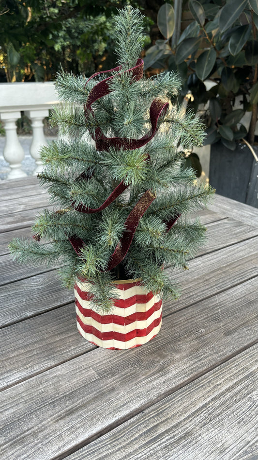 Bone-Inlay Planter - Red
