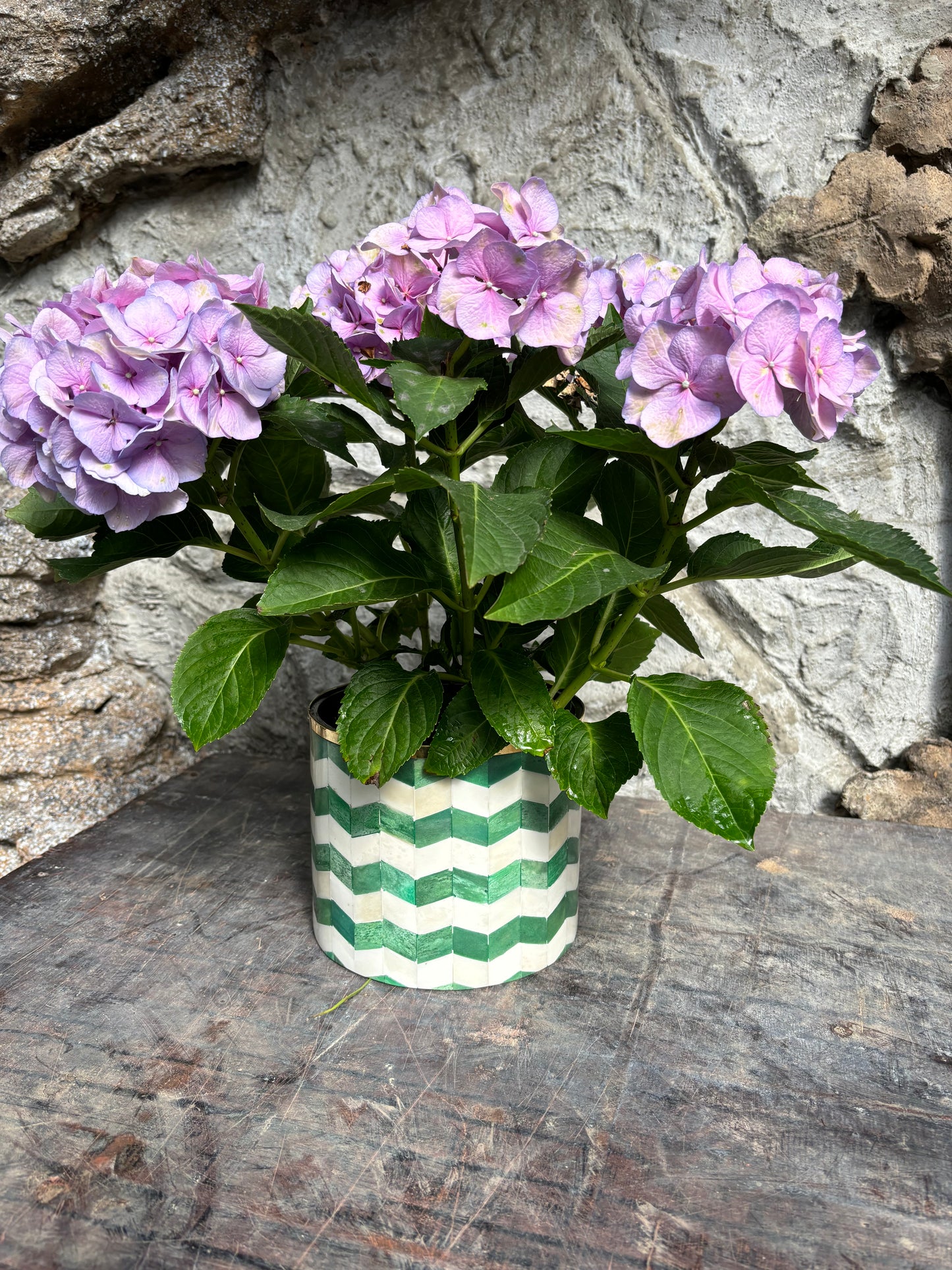 A green and white bone inlay planter with a purple hydrangea outside on a wooden table.