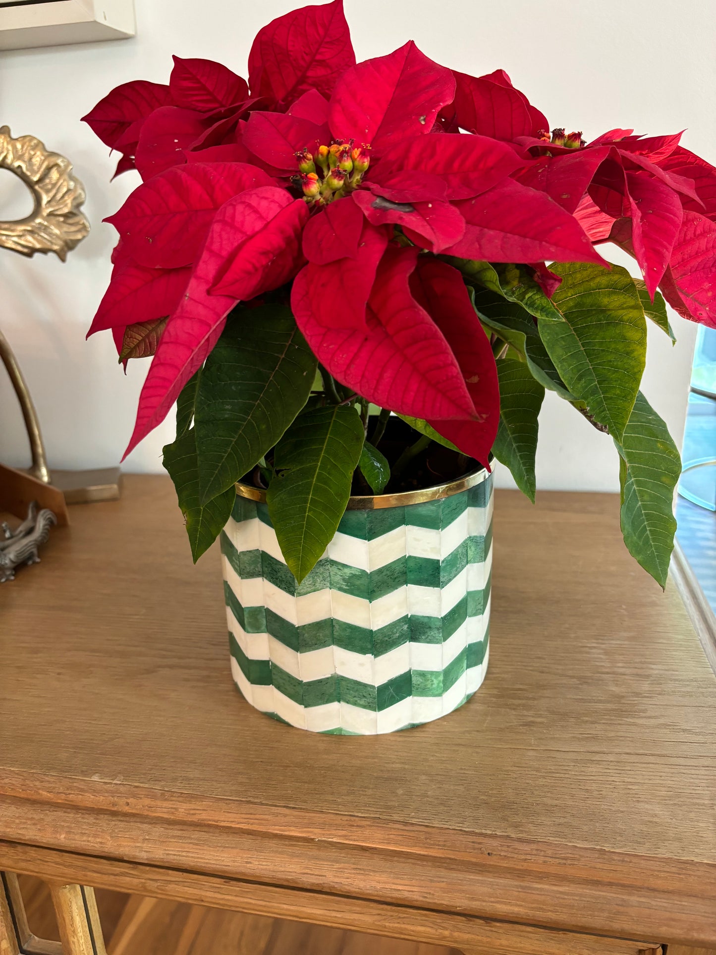 A green and white bone inlay planter with a poinsettia on a sideboard.