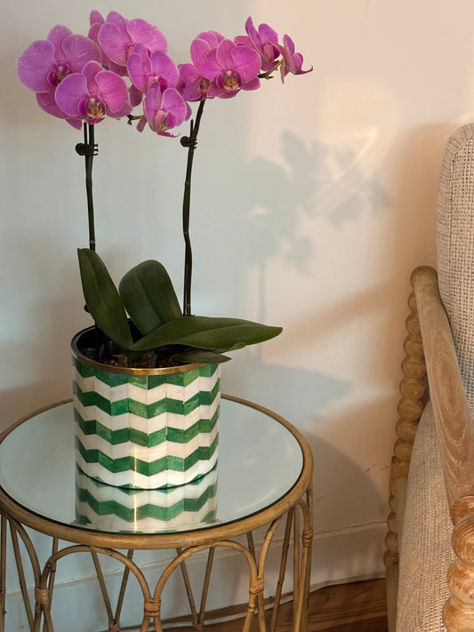 A green and white bone inlay planter with a purple orchid on a bamboo side table.