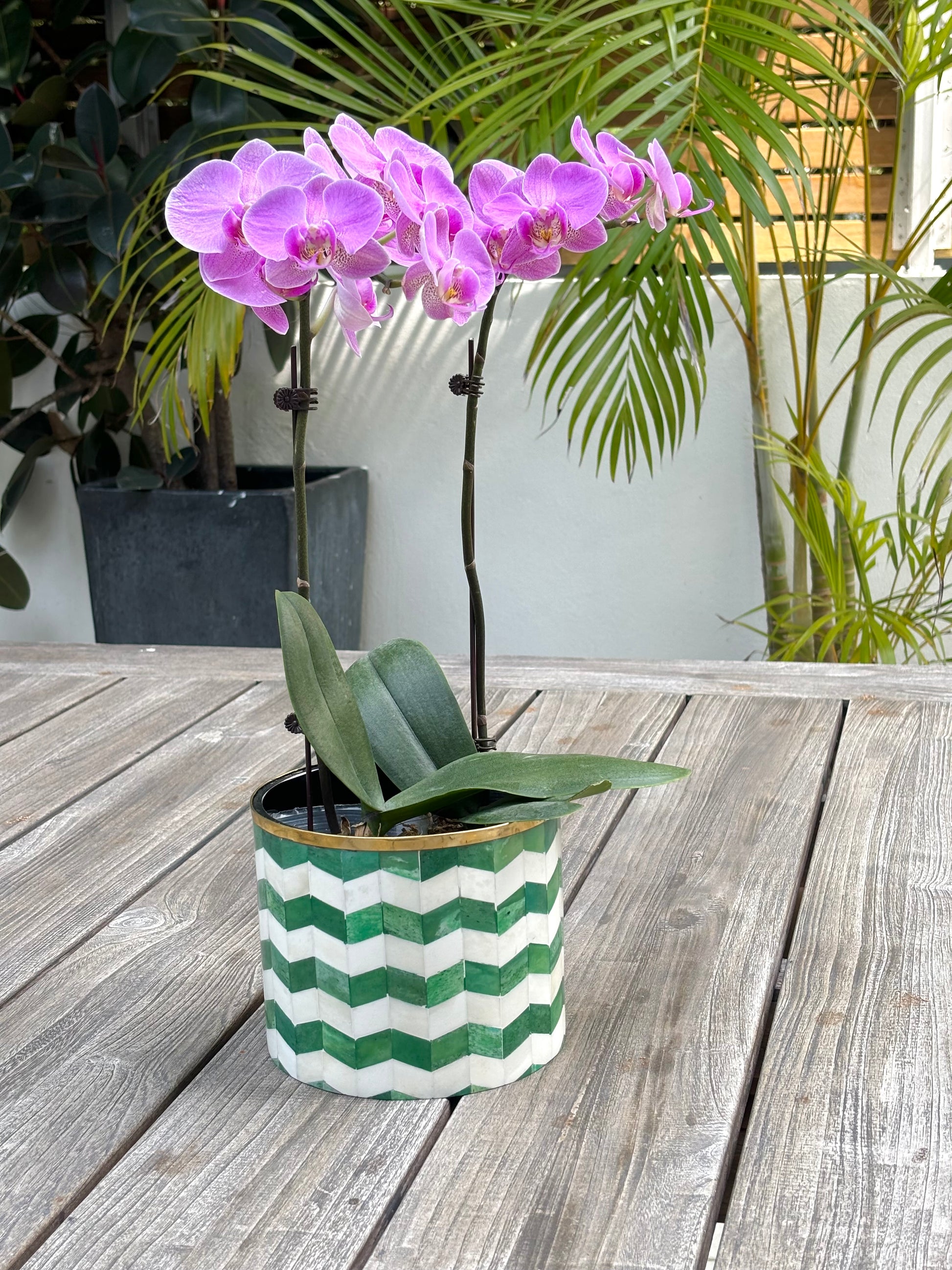 A green and white bone inlay planter with a purple orchid sitting on an outside table.