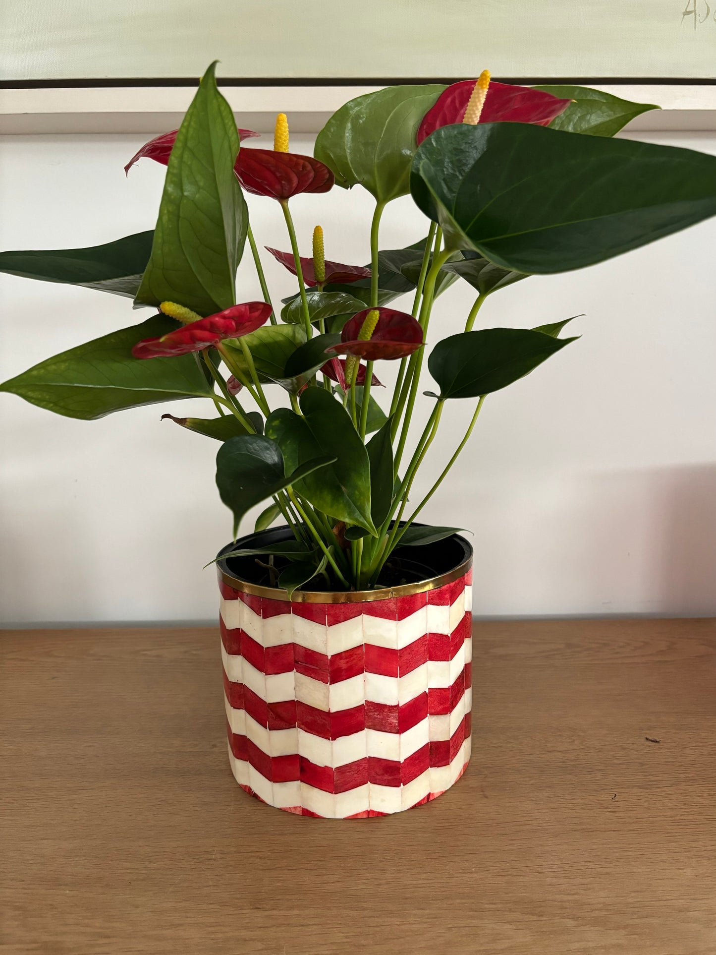 Bone-Inlay Planter - Red